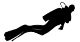 diver icon