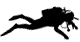 diver icon