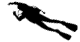 diver icon
