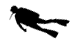 diver icon