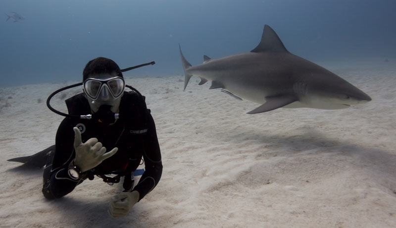 juan and the shark